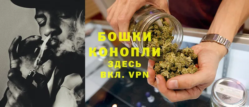 Бошки марихуана SATIVA & INDICA  где купить наркоту  блэк спрут как зайти  Сергач 